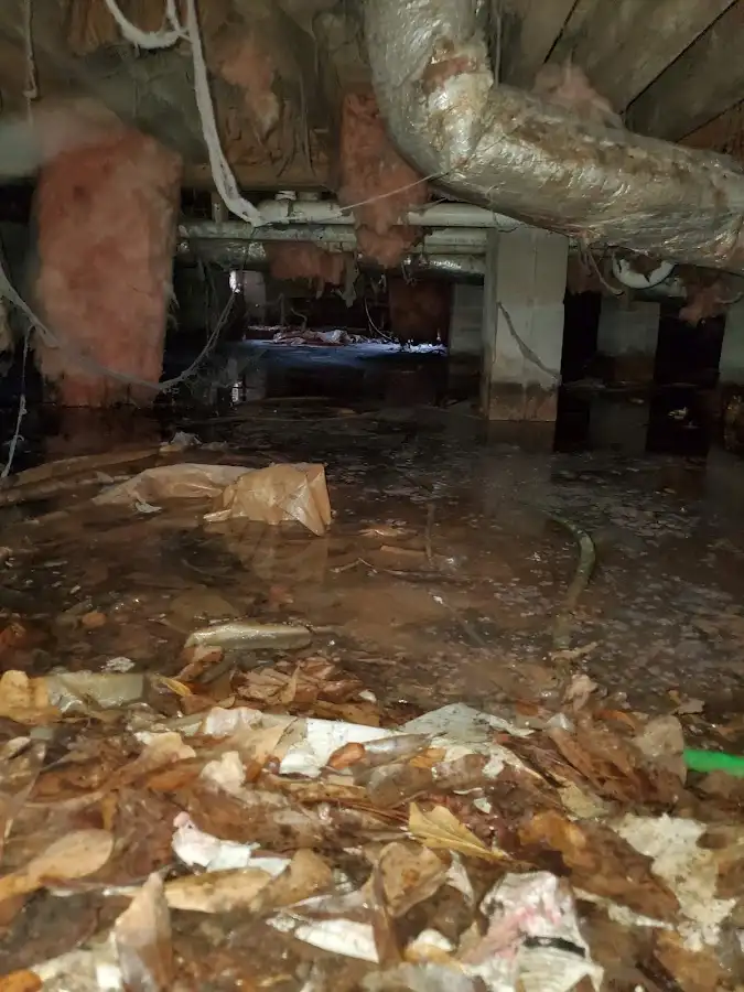 Crawl space flood assessment for Leak Detection & Repair in San Leon